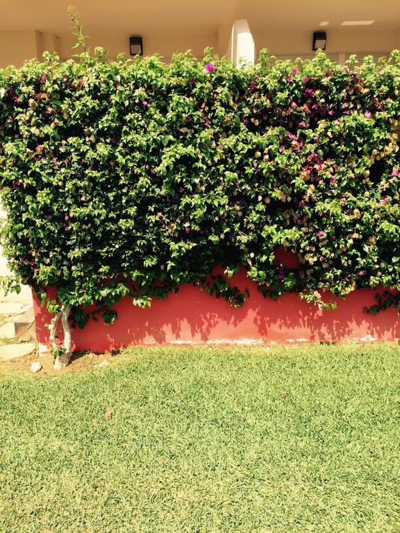 Playa Sol Apartment Denia Rum bild